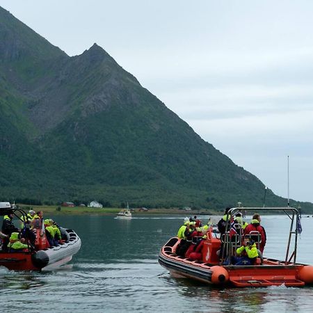 Leilighet Med Fantastisk Utsikt Henningsvær Eksteriør billede
