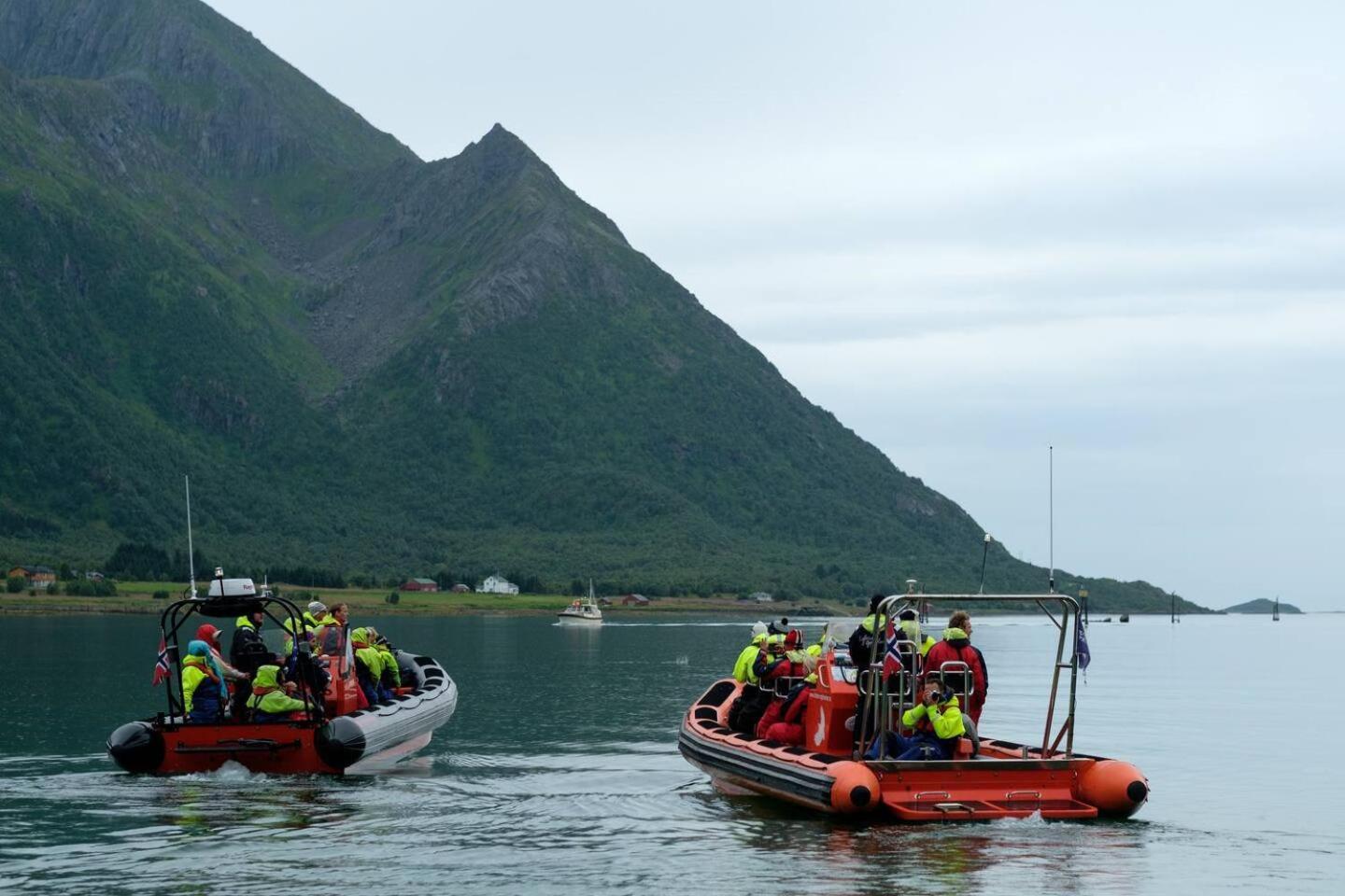 Leilighet Med Fantastisk Utsikt Henningsvær Eksteriør billede